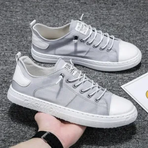 Dalsonshoes Men Casual Canvas Shoes